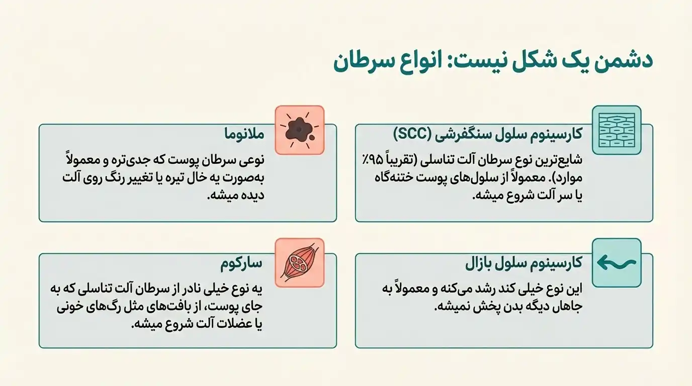 انواع سرطان آلت تناسلی