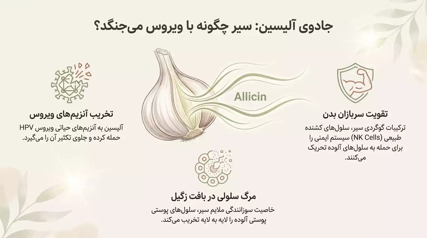 جادوی آلیسین در درمان زگیل تناسلی