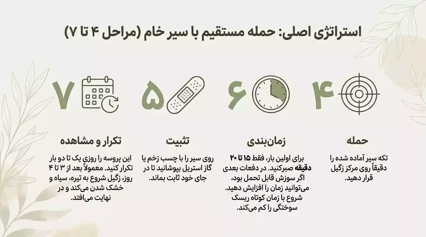 مراحل انجام استفاده از سیر در درمان زگیل تناسلی- مرحله 4تا7