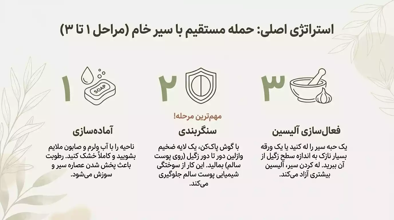 مراحل انجام استفاده از سیر در درمان زگیل تناسلی- مرحله 1تا3
