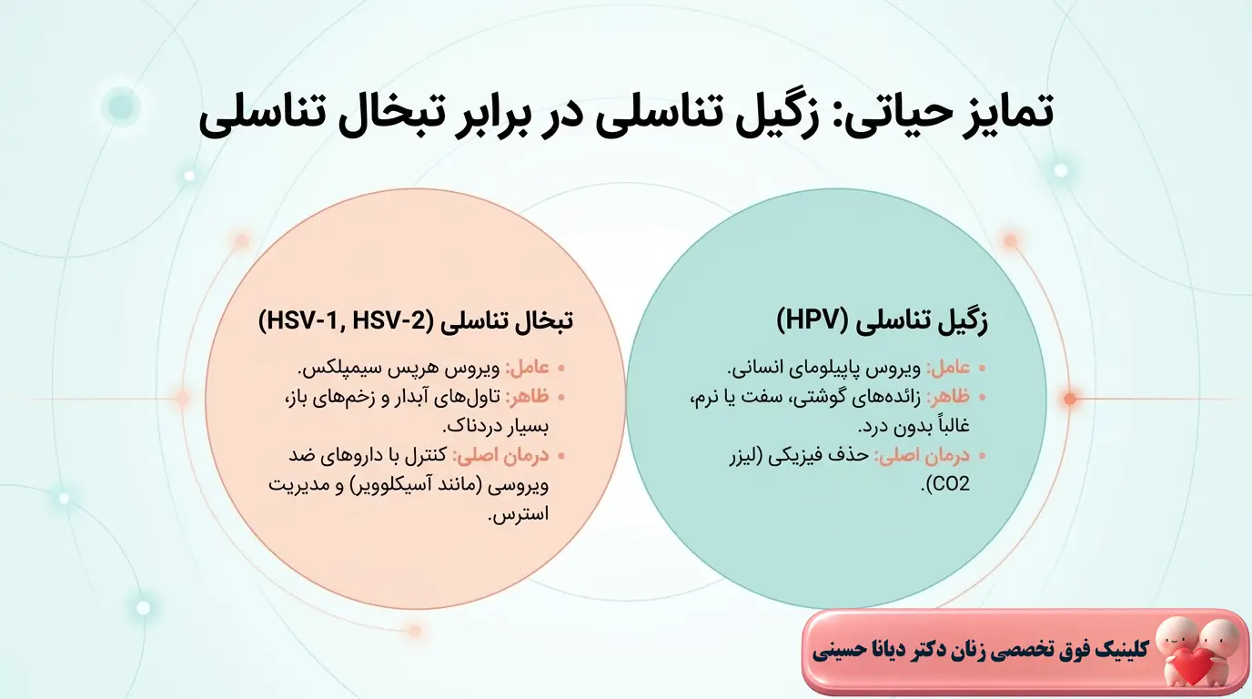 تفاوت زگیل تناسلی و تبخال تناسلی
