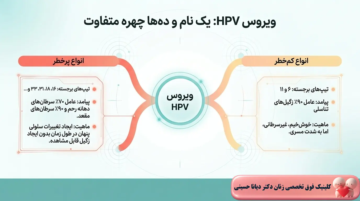 انواع پرخطر و کم خطر زگیل تناسلی و اچ پی وی