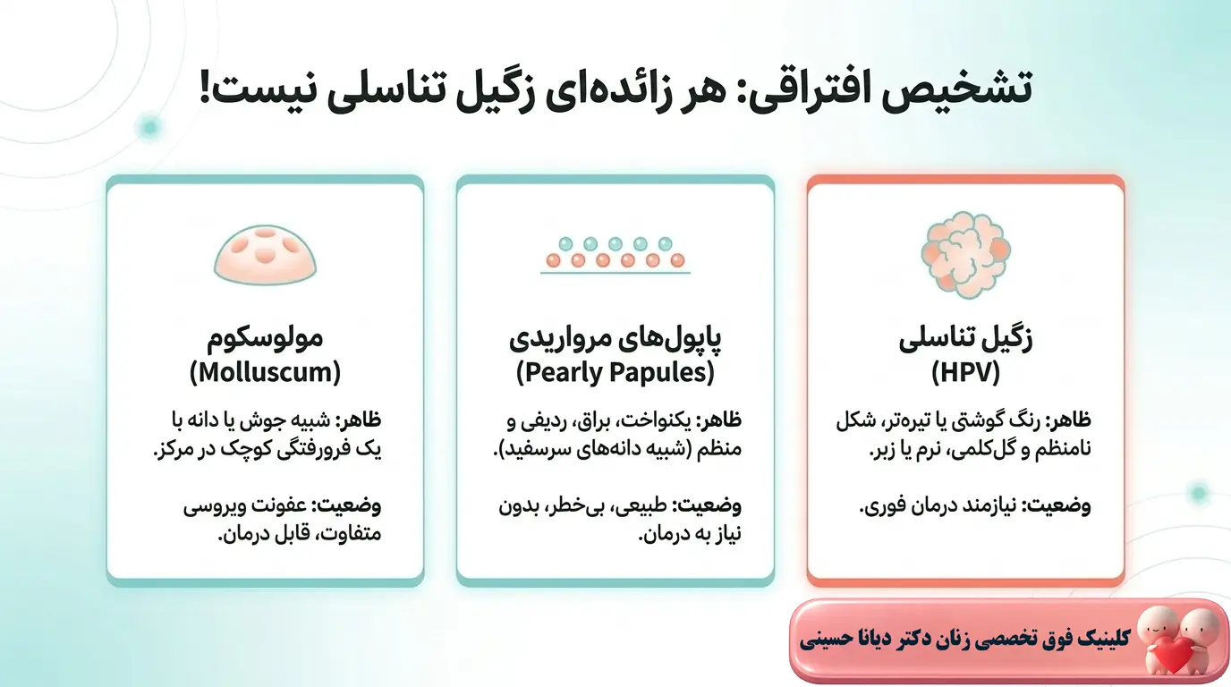 تشخیص ظاهر زگیل تناسلی
