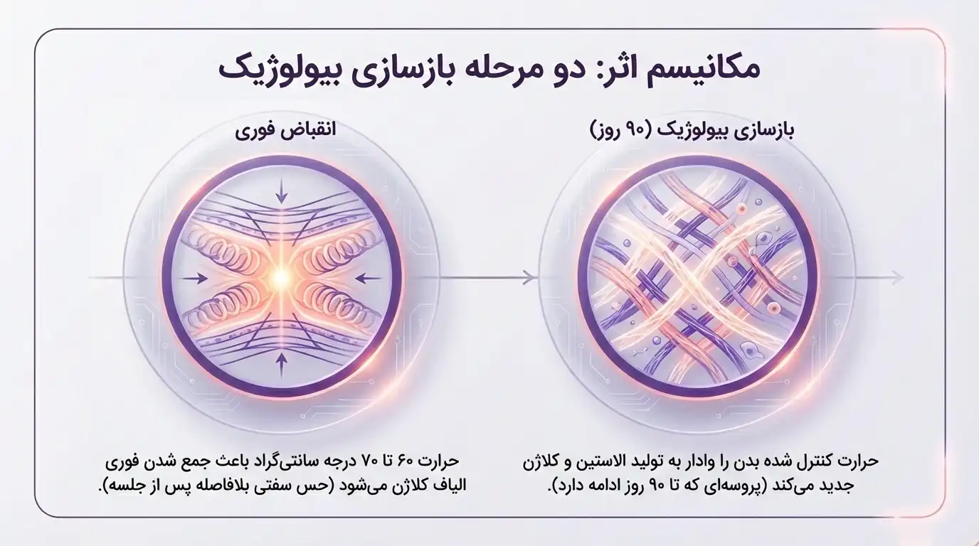مکانیسم_اثر_دومرحله_ای_هایفوتراپی_واژن