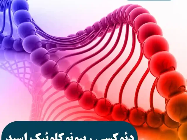اسید دئوکسی ریبونوکلئیک یا DNA